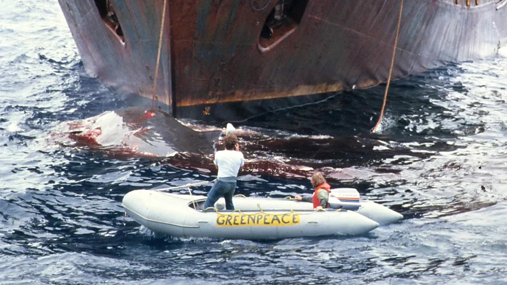 The ‘mind bomb’ images that sparked an international ban on whaling